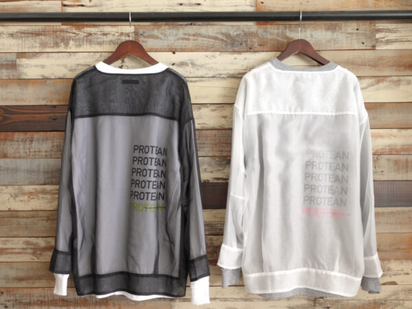 FRUT OF THE LOOM PROTEN LONG T-SHIRT/AULA AILA（アウラアイラ）